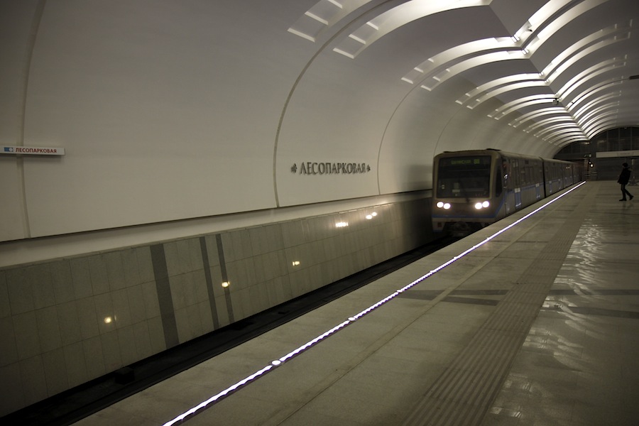 Line L1. Station 'Lesoparkovaya' Yu.Gridchin, 2014